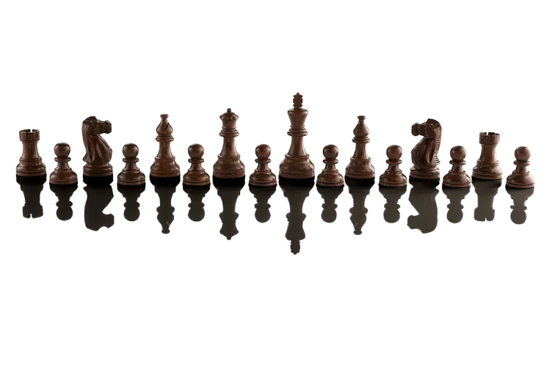 DEAL ITEM: Supreme Tournament 55 Millennium Electronic Chess Set